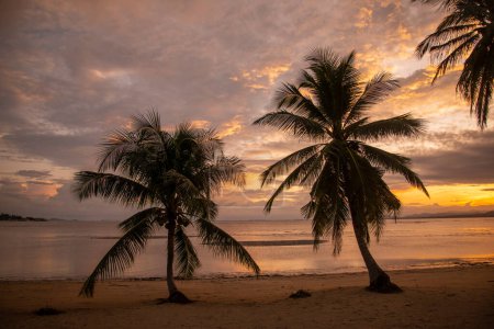 Téléchargez les photos : Palmier à la baie de Bo Thong Lang et plage à la ville de Bang Saphan dans la province de Prachuap Khiri Khan en Thaïlande, Thaïlande, Bang Saphan, décembre 2022 - en image libre de droit