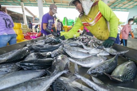 Téléchargez les photos : Le marché aux poissons et le port au village de pêche de Pak Nam Pran près de la ville de Hua Hin dans la province de Prachuap Khiri Khan en Thaïlande, Thaïlande, Hua Hin, Novembre 2022 - en image libre de droit