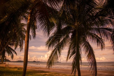 Foto de La playa y la costa en la bahía del delfín en el sombrero Sam Roi Yot en la provincia de Prachuap Khiri Khan en Tailandia, Tailandia, Hua Hin, diciembre de 2022 - Imagen libre de derechos