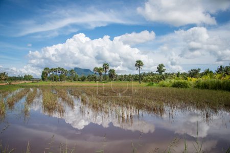 Foto de El paisaje y los campos cerca de la aldea de Kui Buri en el sombrero Sam Roi Yot en la provincia de Prachuap Khiri Khan en Tailandia, Tailandia, Hua Hin, noviembre de 2022 - Imagen libre de derechos