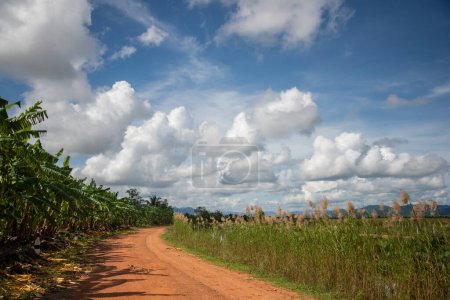 Photo for A road in the Landscape and Fields near the Village of Kui Buri at the Hat Sam Roi Yot in the Province of Prachuap Khiri Khan in Thailand,  Thailand, Hua Hin, November, 2022 - Royalty Free Image