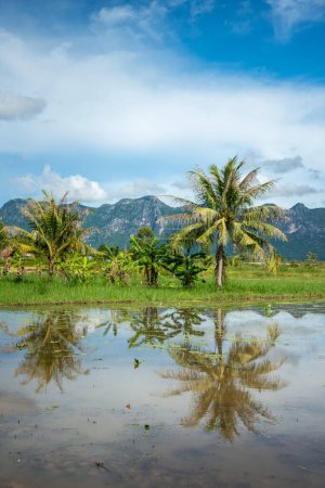 Foto de El paisaje y los campos cerca de la aldea de Kui Buri en el sombrero Sam Roi Yot en la provincia de Prachuap Khiri Khan en Tailandia, Tailandia, Hua Hin, noviembre de 2022 - Imagen libre de derechos