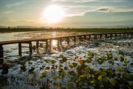 Foto de El paisaje del pantano del loto Sam Roi Yot cerca de la aldea de Kui Buri en el sombrero Sam Roi Yot en la provincia de Prachuap Khiri Khan en Tailandia, Tailandia, Hua Hin, noviembre de 2022 - Imagen libre de derechos
