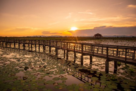 Foto de El paisaje del pantano del loto Sam Roi Yot cerca de la aldea de Kui Buri en el sombrero Sam Roi Yot en la provincia de Prachuap Khiri Khan en Tailandia, Tailandia, Hua Hin, noviembre de 2022 - Imagen libre de derechos