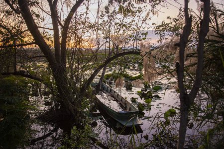 Foto de A Wood Boat in the Landscape of the Lotus Swamp Sam Roi Yot near the Village of Kui Buri at the Hat Sam Roi Yot in the Province of Prachuap Khiri Khan in Thailand,  Thailand, Hua Hin, November, 2022 - Imagen libre de derechos