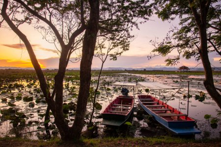 Téléchargez les photos : Un bateau en bois dans le paysage du marais du Lotus Sam Roi Yot près du village de Kui Buri au chapeau Sam Roi Yot dans la province de Prachuap Khiri Khan en Thaïlande, Thaïlande, Hua Hin, Novembre 2022 - en image libre de droit