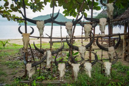 Téléchargez les photos : Un bar avec décoration à la plage et la côte à Dolphin Bay au chapeau Sam Roi Yot dans la province de Prachuap Khiri Khan en Thaïlande, Thaïlande, Hua Hin, Décembre, 2022 - en image libre de droit