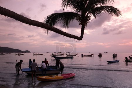 Photo for A Palmtree at Beach and Landscape of Sairee Beach at the Town of Sairee Village on the Ko Tao Island in the Province of Surat Thani in Thailand,  Thailand, Ko Tao, March, 2010 - Royalty Free Image