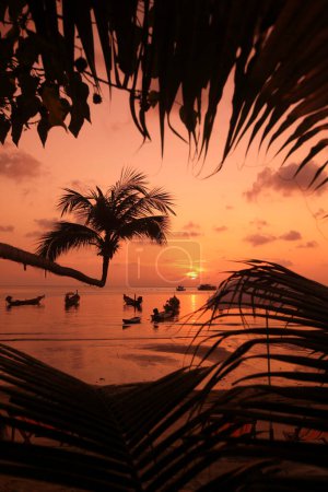 Téléchargez les photos : Un palmier à la plage et paysage de Sairee Beach à la ville de Sairee Village sur l'île Ko Tao dans la province de Surat Thani en Thaïlande, Thaïlande, Ko Tao, Mars 2010 - en image libre de droit