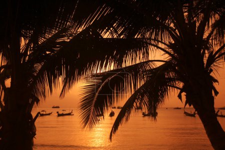 Téléchargez les photos : Un palmier à la plage et paysage de Sairee Beach à la ville de Sairee Village sur l'île Ko Tao dans la province de Surat Thani en Thaïlande, Thaïlande, Ko Tao, Mars 2010 - en image libre de droit