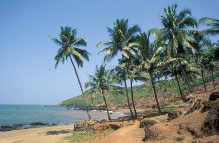 Téléchargez les photos : Une plage avec paysage et côte à la ville de Vagator dans la province de Goa en Inde, Inde, Goa, avril 1996 - en image libre de droit