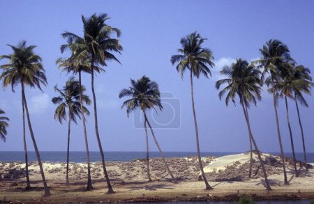 Foto de Una playa con paisaje y costa en la ciudad de Vagator en la provincia de Goa en la India, India, Goa, abril de 1996 - Imagen libre de derechos