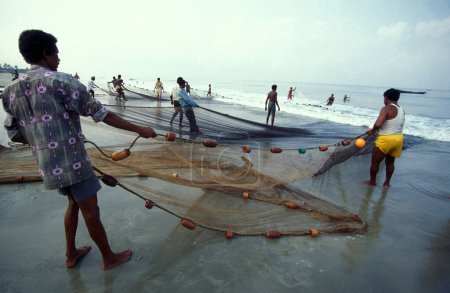 Foto de Gente pescando por la red de pesca y ordenar el pescado fresco y venderlo en una playa de un pueblo de pescadores en la costa en la ciudad de Colva en la provincia de Goa en la India, India, Goa, abril, 1996 - Imagen libre de derechos