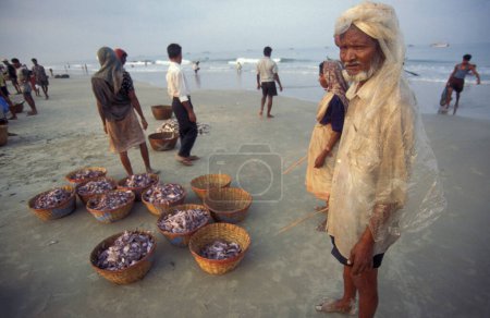 Téléchargez les photos : Les pêcheurs trient le poisson frais et le vendent à une plage d'un village de pêcheurs sur la côte à la ville de Colva dans la province de Goa en Inde, Inde, Goa, Avril 1996 - en image libre de droit