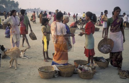 Téléchargez les photos : Les pêcheurs trient le poisson frais et le vendent à une plage d'un village de pêcheurs sur la côte à la ville de Colva dans la province de Goa en Inde, Inde, Goa, Avril 1996 - en image libre de droit
