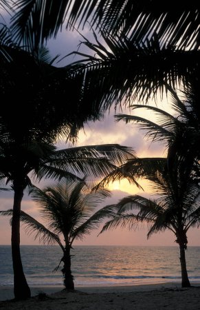 Téléchargez les photos : Un coucher de soleil à la plage avec paysage et côte à la ville de Vagator dans la province de Goa en Inde, Inde, Goa, avril 1996 - en image libre de droit