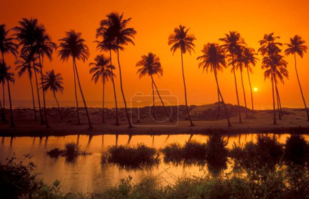 Foto de Una puesta de sol en la playa con paisaje y costa en la ciudad de Vagator en la provincia de Goa en la India, India, Goa, abril de 1996 - Imagen libre de derechos