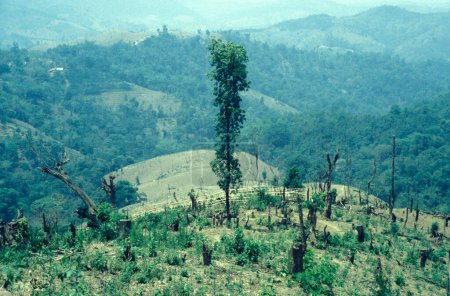 Téléchargez les photos : Feu de brousse et brûlage de terres agricoles près de la ville de Menghai dans la province du Yunnan en Chine en Asie de l'Est. Chine, Yunnan, avril 1996 - en image libre de droit