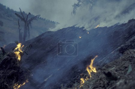 Téléchargez les photos : Feu de brousse et brûlage de terres agricoles près de la ville de Menghai dans la province du Yunnan en Chine en Asie de l'Est. Chine, Yunnan, avril 1996 - en image libre de droit