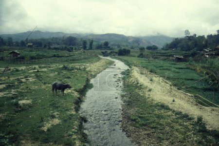 Téléchargez les photos : Le paysage avec une rivière dans un village dans la terre agricole près de la ville de Menghai dans la province du Yunnan en Chine en Asie orientale. Chine, Yunnan, avril 1996 - en image libre de droit