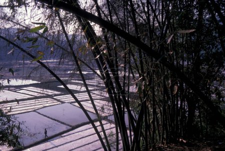 Téléchargez les photos : Agriculture et paysage à la ville de Dali sur le lac Er Hai dans la province du Yunnan en Chine en Asie orientale. Chine, Yunnan, avril 1996 - en image libre de droit