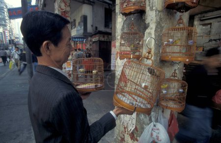 Foto de El tradicional mercado de aves en un marketsttreet en el casco antiguo de Kowloon en la ciudad de Hong Kong en Hong Kong. China, Hong Kong, mayo de 1997 - Imagen libre de derechos