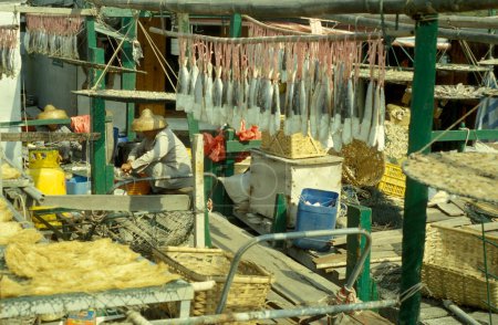 Téléchargez les photos : Un marché aux poissons au village de pêcheurs de Tai O sur l'île de Lantau à Hongkong. Chine, Hongkong, mai 1997 - en image libre de droit