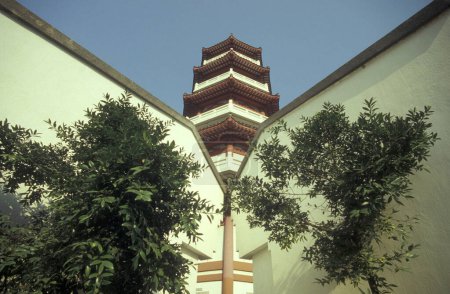 Téléchargez les photos : Le monastère chinois des 1000 Bouddhas sur la colline du Pô Fook au village de Pai Tau à Hongkong. Chine, Hongkong, mai 1997 - en image libre de droit