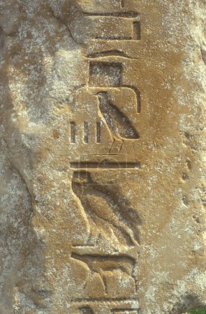 Foto de Tallado en piedra en las pirámides de Guiza, cerca de la ciudad de El Cairo, en la capital de Egipto, en el norte de África. Egipto, El Cairo, marzo de 2000 - Imagen libre de derechos