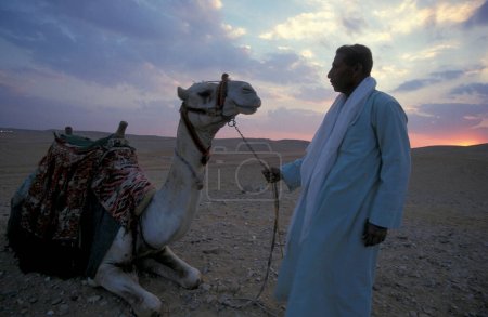 Foto de Un hombre beduino con un camello frente a las pirámides de Guiza cerca de la ciudad de El Cairo en la capital de Egipto en el norte de África. Egipto, El Cairo, marzo de 2000 - Imagen libre de derechos
