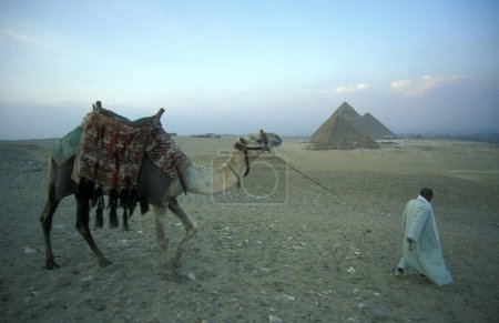 Foto de Un hombre beduino con un camello frente a las pirámides de Guiza cerca de la ciudad de El Cairo en la capital de Egipto en el norte de África. Egipto, El Cairo, marzo de 2000 - Imagen libre de derechos