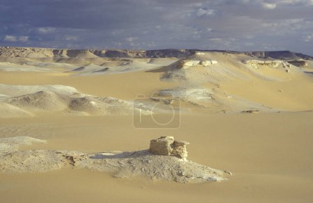 Téléchargez les photos : Le paysage et la nature dans le désert blanc près du village de Farafra dans le désert libyen ou occidental de l'Egypte en Afrique du Nord, Egypte, Farafra, Mars 2000 - en image libre de droit