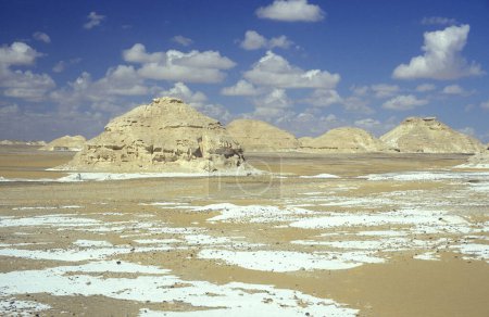Photo for The Landscape and Nature in the White Desert near the Village of Farafra in the Libyan or western desert of Egypt in North Africa,   Egypt, Farafra, March, 2000 - Royalty Free Image