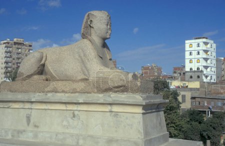 Téléchargez les photos : Un Sphinx au parc à colonnes du pilier Pompéi dans le centre-ville d'Alexandrie sur la mer Méditerranée en Egypte en Afrique du Nord. Egypte, Alexandrie, mars 2000 - en image libre de droit