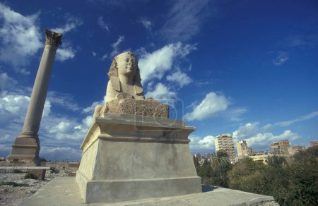 Téléchargez les photos : Un Sphinx au parc à colonnes du pilier Pompéi dans le centre-ville d'Alexandrie sur la mer Méditerranée en Egypte en Afrique du Nord. Egypte, Alexandrie, mars 2000 - en image libre de droit