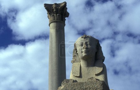 Photo for A Sphinx at the Pompei Pillar Column Park in the City Centre of Alexandria on the Mediterranean Sea in Egypt in North Africa.   Egypt, Alexandria, march, 2000 - Royalty Free Image