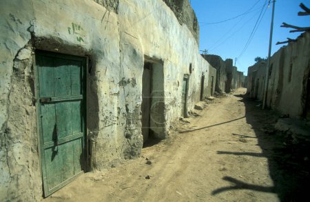 Téléchargez les photos : Une maison dans la ville et l'oasis de Farafra dans le désert libyen ou occidental de l'Egypte en Afrique du Nord. Egypte, Farafra, mars 2000 - en image libre de droit