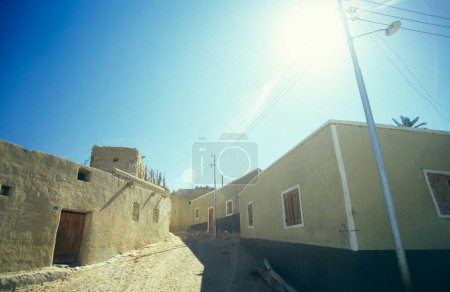 Téléchargez les photos : La ville et l'oasis de Farafra dans le désert libyen ou occidental de l'Egypte en Afrique du Nord. Egypte, Farafra, mars 2000 - en image libre de droit