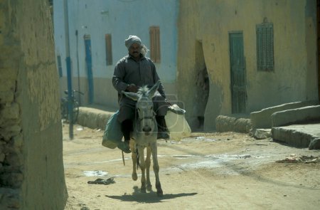 Téléchargez les photos : Un homme avec une charrette d'âne dans la ville et l'oasis de Farafra dans le désert libyen ou le désert d'Egypte en Afrique du Nord. Égypte, Farafra, mars 2000 - en image libre de droit