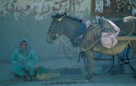 Téléchargez les photos : Un garçon avec une charrette d'âne dans la ville et l'oasis de Farafra dans le désert libyen ou le désert d'Egypte en Afrique du Nord. Égypte, Farafra, mars 2000 - en image libre de droit