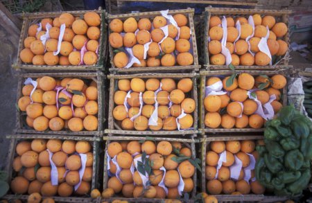 Téléchargez les photos : Orange au marché alimentaire dans le vieux village de Siwa en Libye ou dans le désert d'Egypte en Afrique du Nord. Égypte, Siwa, mars 2000 - en image libre de droit