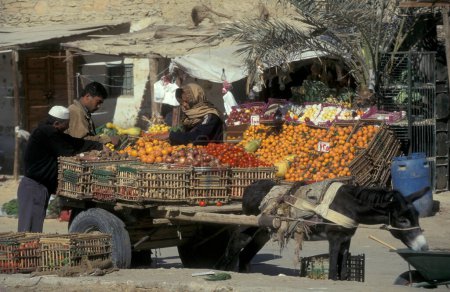 Photo for Fruits and Vegetable at the Food Market in the old Village of Siwa in the Libyan or estern Desert of Egypt in North Africa.  Egypt, Siwa, March, 2000 - Royalty Free Image