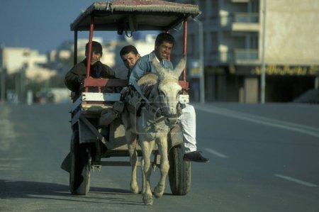 Foto de Gente en el carro de burros en el Mercado de Alimentos en la antigua aldea de Siwa en el desierto libio o argentino de Egipto en el norte de África. Egipto, Siwa, marzo de 2000 - Imagen libre de derechos