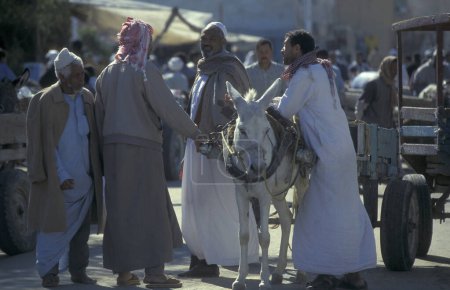 Téléchargez les photos : Peuple et âne au marché alimentaire dans le vieux village de Siwa en Libye ou dans le désert d'Egypte en Afrique du Nord. Égypte, Siwa, mars 2000 - en image libre de droit