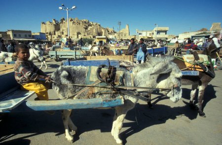 Photo for A Donkey cart at the Food Market in the old Village of Siwa in the Libyan or estern Desert of Egypt in North Africa.  Egypt, Siwa, March, 2000 - Royalty Free Image