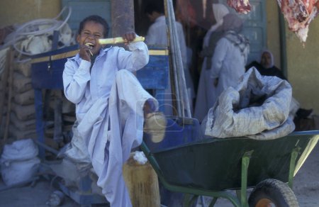 Foto de Un niño en el mercado de alimentos en la antigua aldea de Siwa en el desierto de Libia o jalá de Egipto en el norte de África. Egipto, Siwa, marzo de 2000 - Imagen libre de derechos