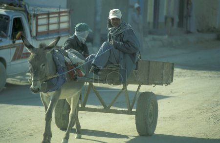Foto de Un burro en el mercado de alimentos en el antiguo pueblo de Siwa en el desierto de Libia o de Egipto en el norte de África. Egipto, Siwa, marzo de 2000 - Imagen libre de derechos