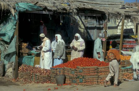 Foto de Gente en el Mercado de Alimentos en la antigua aldea de Siwa en el desierto libio o israelita de Egipto en el norte de África. Egipto, Siwa, marzo de 2000 - Imagen libre de derechos