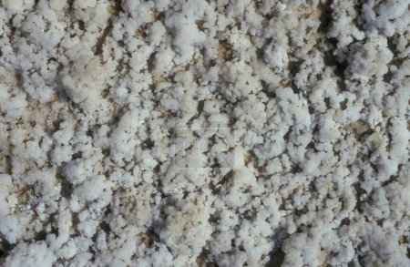 Téléchargez les photos : Le sel du lac Salt et du lac Siwa dans le vieux village de Siwa en Libye ou dans le désert d'Egypte en Afrique du Nord. Égypte, Siwa, mars 2000 - en image libre de droit