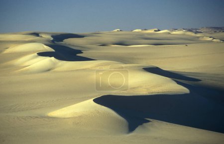 Téléchargez les photos : Les dunes de sable près de l'oasis et du village de Siwa, en Libye ou dans le désert d'Égypte, en Afrique du Nord. Égypte, Siwa, mars 2000 - en image libre de droit